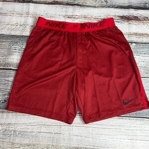 Nike Men’s Crimson Red Standard Training Shorts SZ L Zipper Pocket/Pull-String